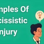 Examples of narcissistic injury warning signs and behavioral patterns to help recognize toxic relationships"