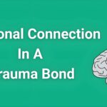 Brain scan showing neural pathways highlighting emotional connection in trauma bond versus healthy attachment patterns