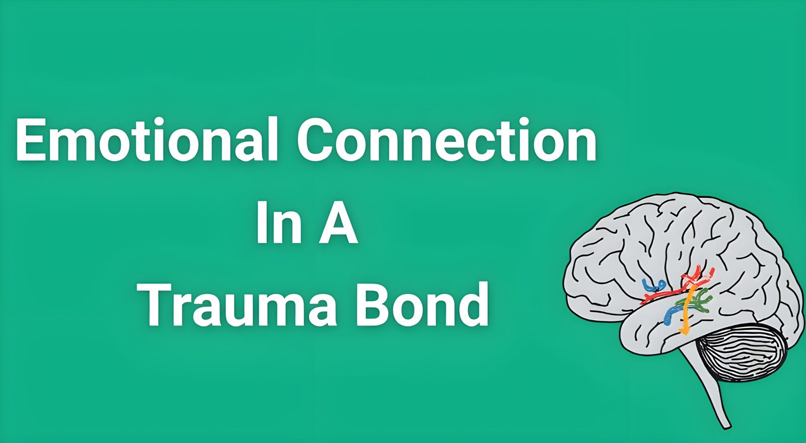 Brain scan showing neural pathways highlighting emotional connection in trauma bond versus healthy attachment patterns