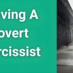 Person walking toward freedom after leaving a covert narcissist relationship - survival blueprint guide