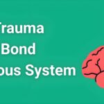 Illustrated brain showing neural pathways and stress responses in trauma bond nervous system dysfunction