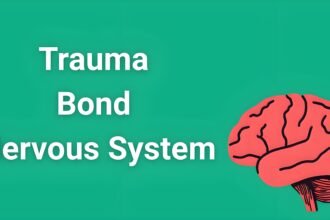 Illustrated brain showing neural pathways and stress responses in trauma bond nervous system dysfunction