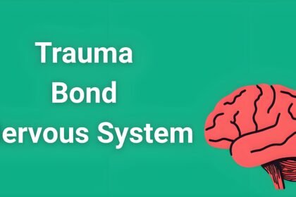 Illustrated brain showing neural pathways and stress responses in trauma bond nervous system dysfunction