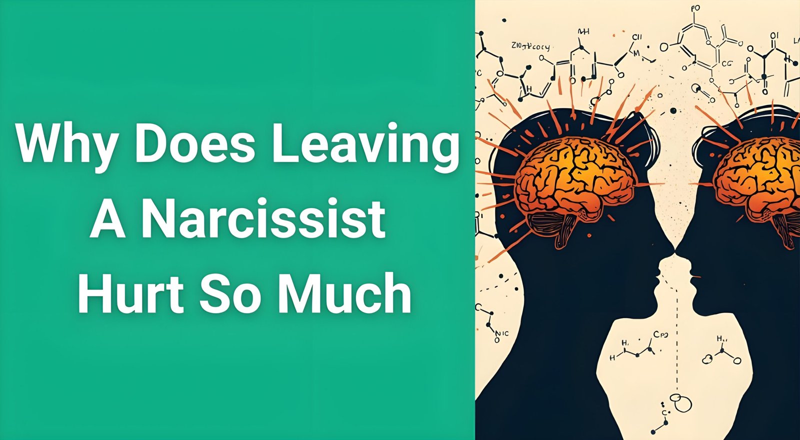 Brain chemistry illustration showing trauma bonding effects when leaving a narcissist